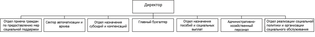 Структура ГКУ НО «Управление социальной защиты населения городского округа «Семеновский»
